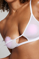 Shell Pasties in Babe