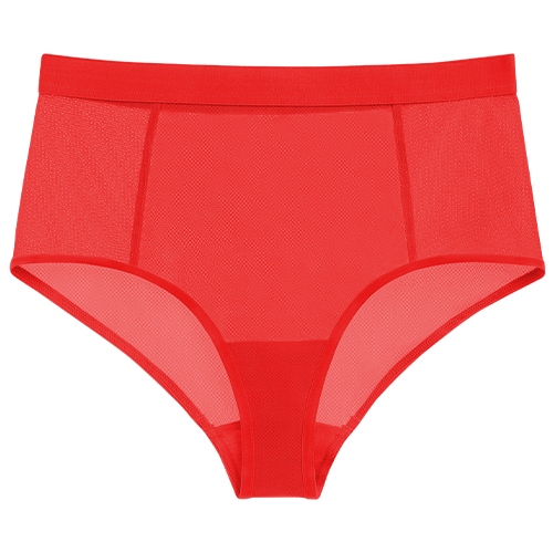Sieve High-Waist Brief in Cherry