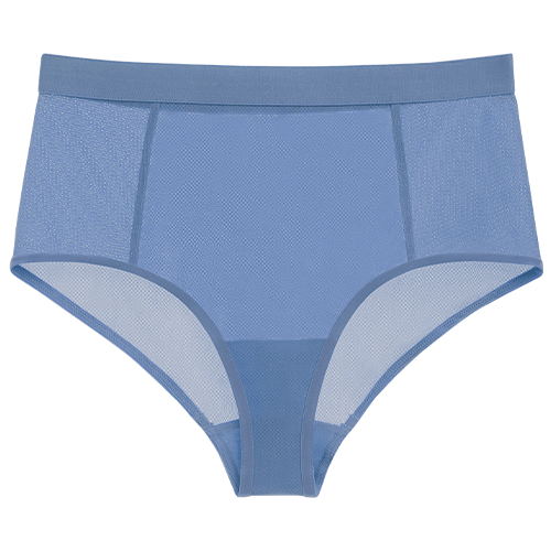 Sieve High-Waist Brief in Slate