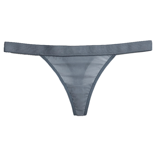 Silky Thong in Slate